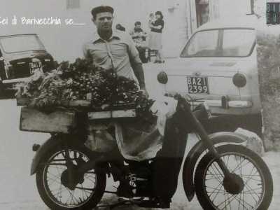 Altro fruttivendolo improvvisato era Giovanni, detto �Geu�nn de l�nzal�te�. Abitava vicino a Santa Maria del Buonconsiglio e le mattine di ogni sabato e domenica, puntuale come un orologio, spuntava con una bicicletta o un motorino allestito a negozio di verdura 

(foto presa dalla pagina facebook "Sei di Bari Vecchia se..."
